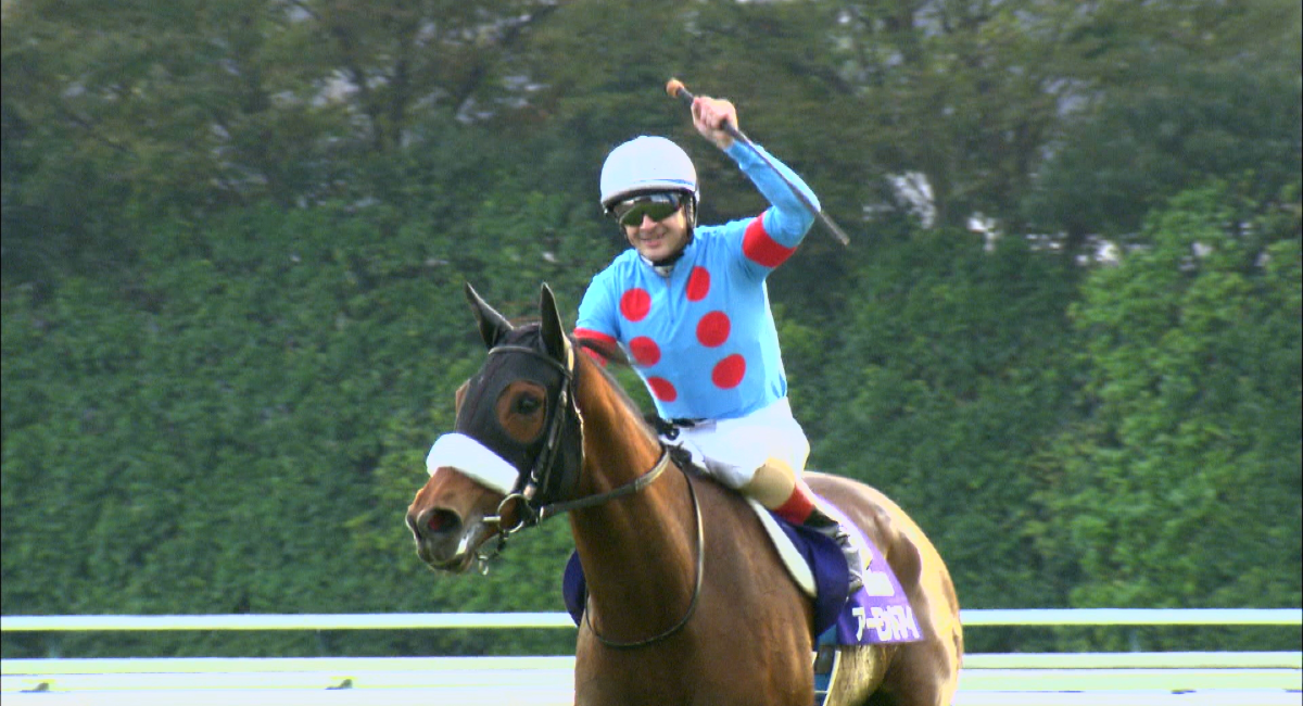 今年のジャパンカップを制するなどg を9勝した史上最強牝馬 アーモンドアイの引退式の模様をお届け Bsイレブン競馬中継 12月19日 土 放送 日本 Bs放送株式会社のプレスリリース