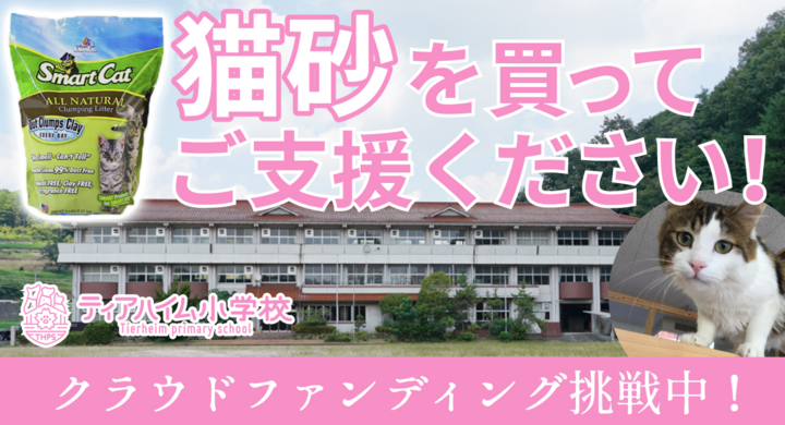 日本初の廃校を再利用した保護猫施設がコロナ禍でピンチ クラウドファンディングスタート 一般社団法人ティアハイム小学校のプレスリリース