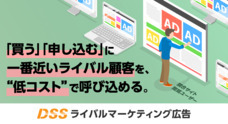 株式会社ディライトソリューションズのプレスリリース
