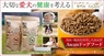 有限会社Marginのプレスリリース10