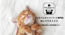 ねこハウス２２２のプレスリリース