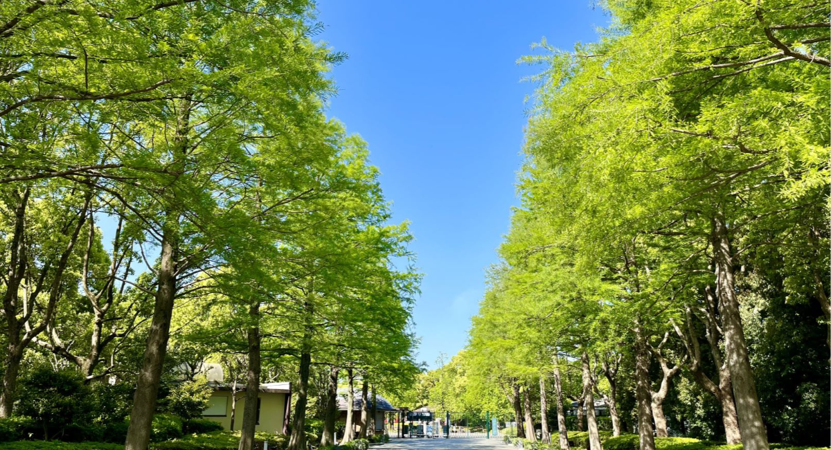 アイキャッチ画像