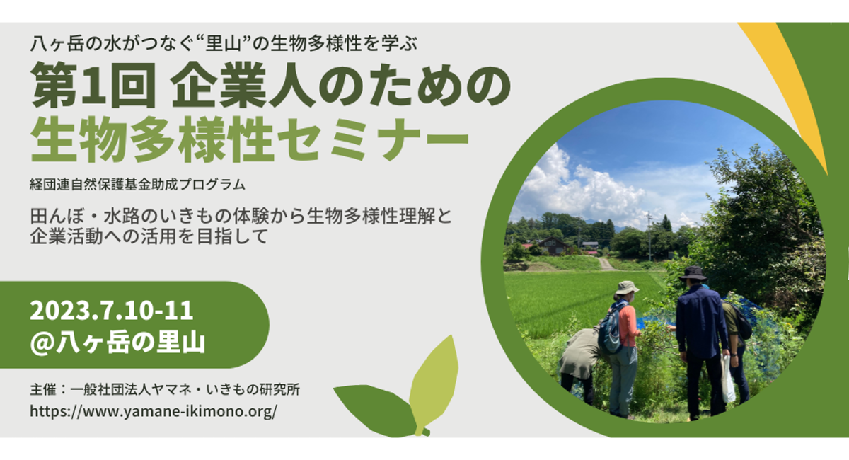 アイキャッチ画像