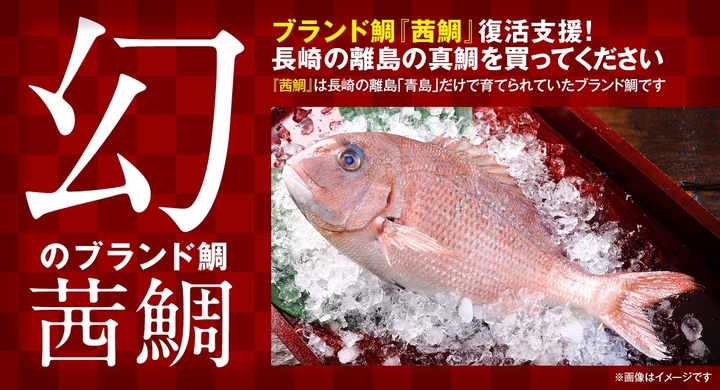 長崎県の離島のブランド魚 茜鯛 復活を目指すプロジェクト5月7日開始 クラウドファンディングで目標金額500万円 株式会社まうまうのプレスリリース 長崎県の離島のブランド魚 茜鯛 復活を目指すプロジェクト5月7日開始 クラウドファンディングで目標金額500万円 株式会社まうまうのプレスリリース