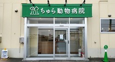 ちゅら動物病院のプレスリリース