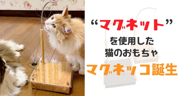 猫をコーフンさせる 獲物の動き を ネオジウム磁石 で実現 毎回異なる予想外の動きを体験できる 新感覚のニャンコ用オモチャ マグネッコ が一般発売 株式会社ねこ工房のプレスリリース