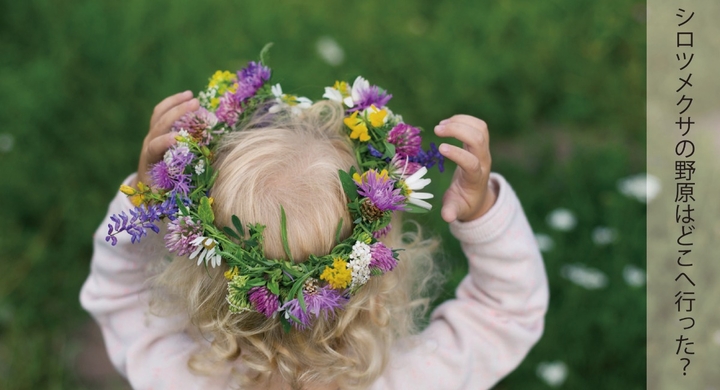 お花を摘んで夢中で遊んだ幸せな時間を 今の子どもたちにも 秋田の花き農家が 体験型ガーデンをつくるプロジェクトをクラウドファンディングで始動 花工房field Canvasのプレスリリース お花を摘んで夢中で遊んだ幸せな時間を 今の子どもたちにも 秋田の花き農家が 体験型ガーデンをつくるプロジェクトをクラウドファンディングで始動 花工房field Canvasのプレスリリース
