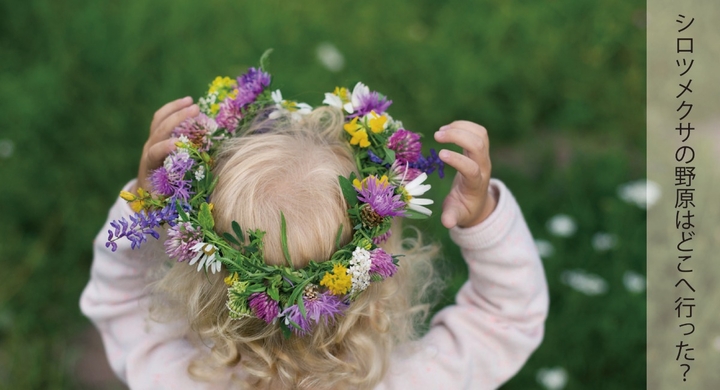 まだどこにもない体験型ガーデンを作る農家の挑戦 花をつんで遊べる体験型ガーデンをcampfireにて5月10日より開始 花工房field Canvasのプレスリリース まだどこにもない体験型ガーデンを作る農家の挑戦 花をつんで遊べる体験型ガーデンをcampfireにて5月10日より開始 花工房field Canvasのプレスリリース