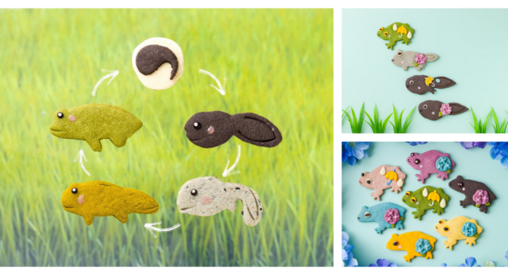 X E5plqls Pgmm X E5plqls Pgmm