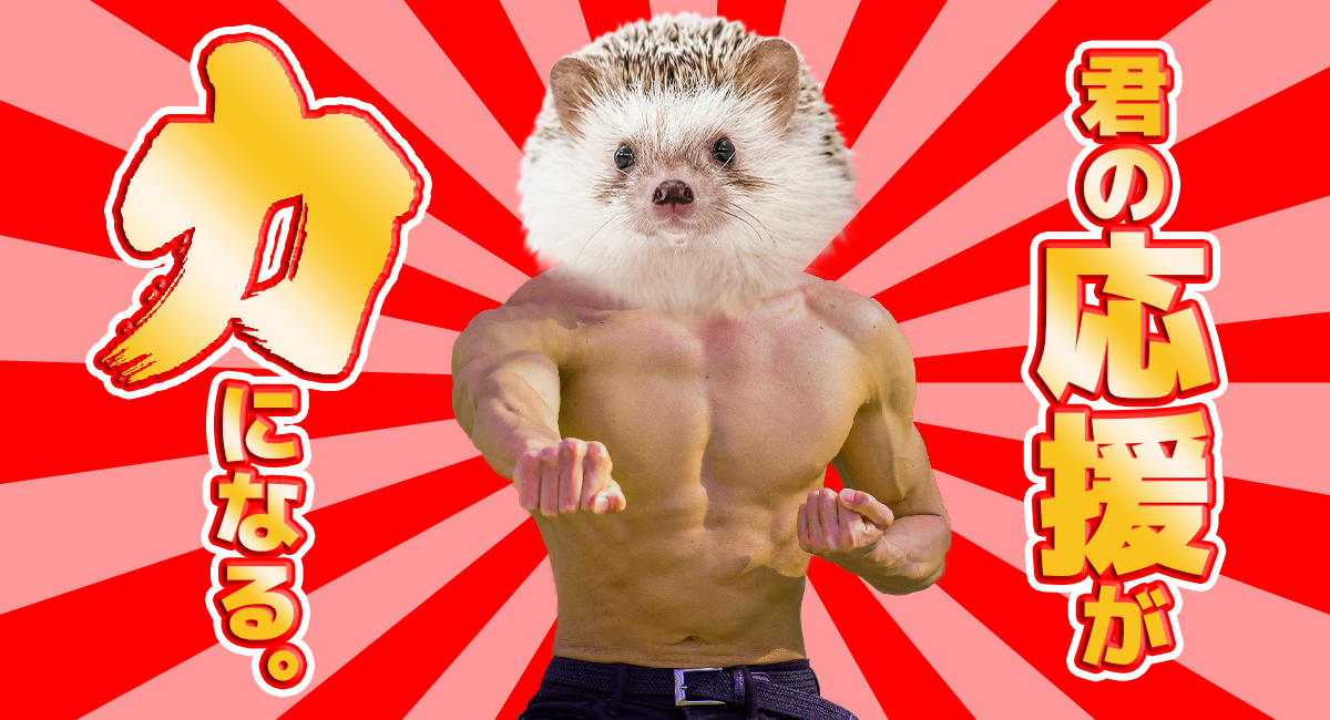 アイキャッチ画像