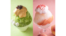 みなとみらいPRセンターのプレスリリース