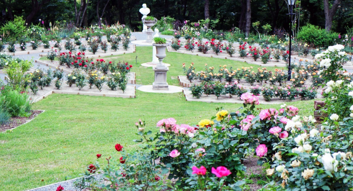 日本経済大学 国内最大規模の本学イングリッシュガーデン 環境省 みどりの日 自然環境功労者環境大臣表彰を受賞 学校法人 都築学園のプレスリリース 日本経済大学 国内最大規模の本学イングリッシュガーデン 環境省 みどりの日 自然環境功労者環境大臣表彰を受賞 学校法人 都築学園のプレスリリース