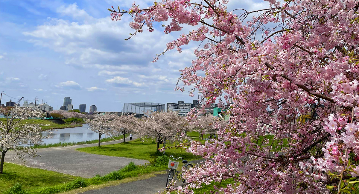 アイキャッチ画像