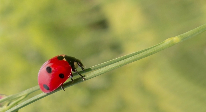 潜在意識 引き寄せ叶った 引き寄せ願望が潜在意識のコアから思い込める 現実化するブロック解除術 お金 恋愛 復縁 成功を引き寄せるやり方 Dream Art Laboratoryのプレスリリース 潜在意識 引き寄せ叶った 引き寄せ願望が潜在意識のコアから思い込める 現実化するブロック解除術 お金 恋愛 復縁 成功を引き寄せるやり方 Dream Art Laboratoryのプレスリリース