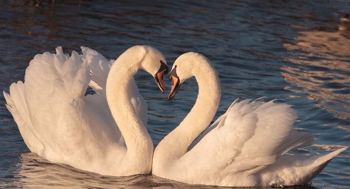 引き寄せの法則で恋愛 お金 仕事で成功するすごすぎるやり方 思考は現実化する 引き寄せの法則の本当のやり方を完全マスターするセッション開催 体験談あり Dream Art Laboratoryのプレスリリース 引き寄せの法則で恋愛 お金 仕事で成功するすごすぎるやり方 思考は現実化する 引き寄せの法則の本当のやり方を完全マスターするセッション開催 体験談あり Dream Art Laboratoryのプレスリリース