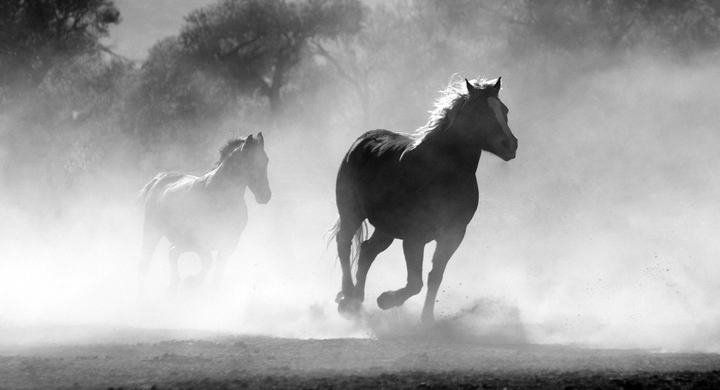 ランナーズハイになる方法 仕事でゾーン ランナーズハイ ワーカーズハイに入れる革命的な方法 ランナーズハイにならない人でも 依存症なし 体に悪いことなし Dream Art Laboratoryのプレスリリース ランナーズハイになる方法 仕事でゾーン ランナーズハイ ワーカーズハイに入れる革命的な方法 ランナーズハイにならない人でも 依存症なし 体に悪いことなし Dream Art Laboratoryのプレスリリース