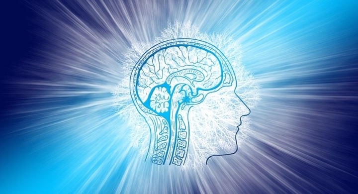 劇的に右脳を鍛える 瞬時に右脳を鍛える方法が開発 革命的な右脳活性化トレーニングを開催 右脳 左脳 脳梁同時に鍛えられる Dream Art Laboratoryのプレスリリース 劇的に右脳を鍛える 瞬時に右脳を鍛える方法が開発 革命的な右脳活性化トレーニングを開催 右脳 左脳 脳梁同時に鍛えられる Dream Art Laboratoryのプレスリリース