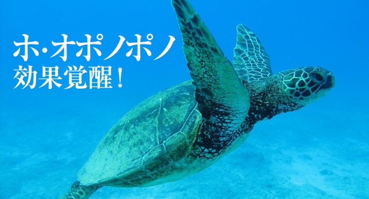 ホオポノポノのすごい効果を得るやり方 ホオポノポノの最強浄化クリーニング効果を約束 潜在意識 ウニヒピリ に即浸透するやり方 お金 恋愛 幸福を引き寄せ Dream Art Laboratoryのプレスリリース ホオポノポノのすごい効果を得るやり方 ホオポノポノの最強浄化クリーニング効果を約束 潜在意識 ウニヒピリ に即浸透するやり方 お金 恋愛 幸福を引き寄せ Dream Art Laboratoryのプレスリリース