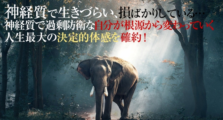 神経質を治すには 治したいけれど治すに治せない神経質な性格 根本から改善克服 ストレスで疲れるだけ しんどい神経質をやめたい人へ革命的な神経質の治し方提供 Dream Art Laboratoryのプレスリリース 神経質を治すには 治したいけれど治すに治せない神経質な性格 根本から改善克服 ストレスで疲れるだけ しんどい神経質をやめたい人へ革命的な神経質の治し方提供 Dream Art Laboratoryのプレスリリース
