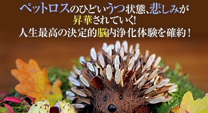 ペットロス克服と乗り越え方 ペットロス症状で涙が止まらない 立ち直れない 後追いを考える うつ 無気力からの立ち直り方を提供 ペットロスになりやすい人発表 Dream Art Laboratoryのプレスリリース ペットロス克服と乗り越え方 ペットロス症状で涙が止まらない 立ち直れない 後追いを考える うつ 無気力からの立ち直り方を提供 ペットロスになりやすい人発表 Dream Art Laboratoryのプレスリリース