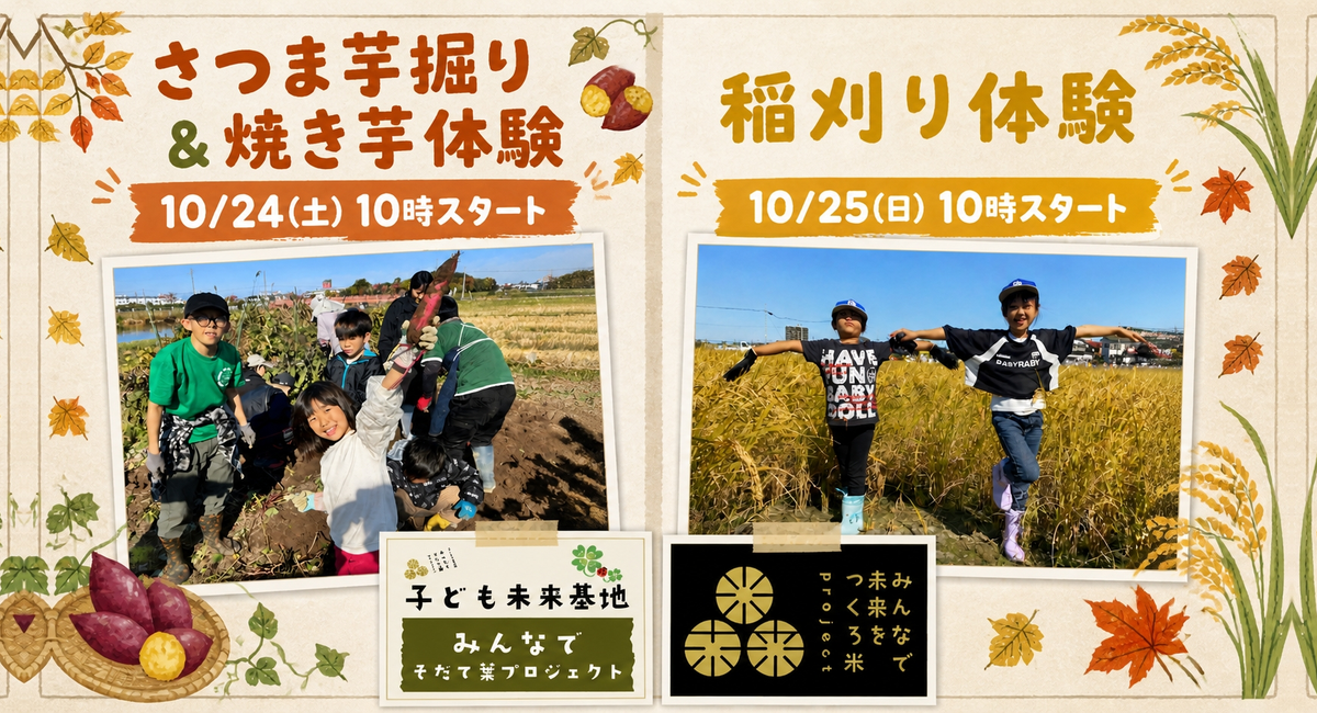収穫の秋、そのまま、まちの食堂の食卓へ。10月24日(土)芋掘り&焼き芋体験、10月25日(日)稲刈りを開催