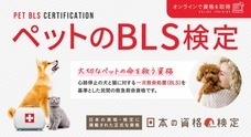 一般社団法人日本ペットBLS防災学会のプレスリリース