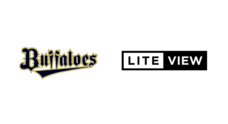 LITEVIEW株式会社のプレスリリース