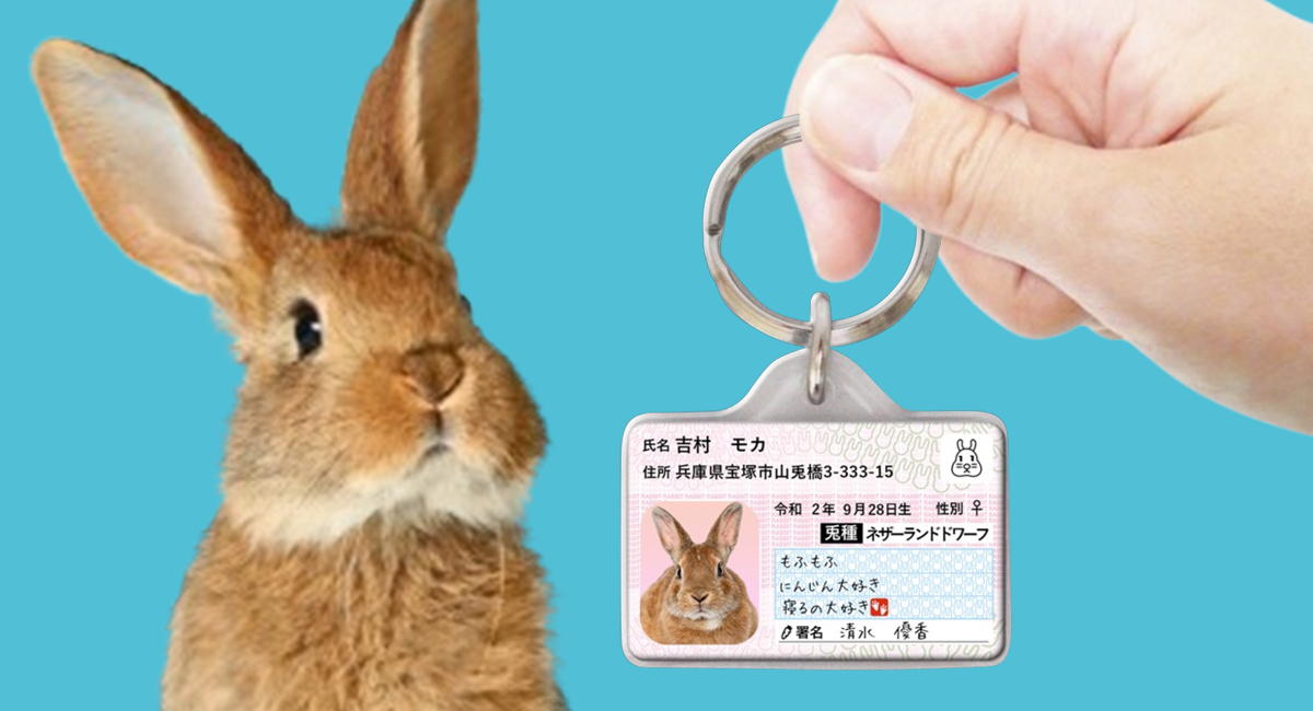 迷子・防災対策】愛兎用IDカード型グッズ「ウサナンバー迷子札」を 迷子・防災対策】愛兎用IDカード型グッズ「ウサナンバー迷子札」を