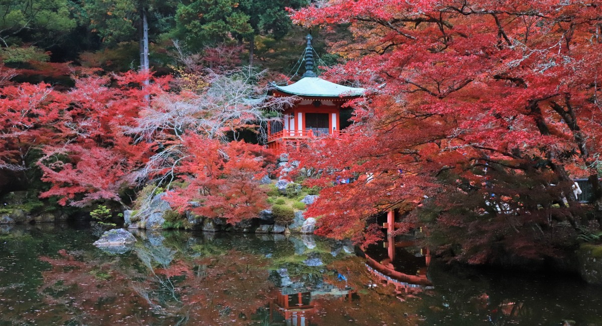 今秋の醍醐寺は見所満載～夜間拝観/奉納コンサート、五重塔特別御開扉、醍醐寺アカデミー・オープンテンプル、Matter's  Whisper－没入型展示などを開催 - 総本山醍醐寺のプレスリリース