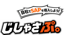 株式会社S.O.W.ホールディングスのプレスリリース