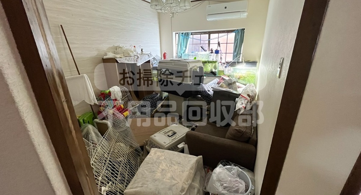 アイキャッチ画像