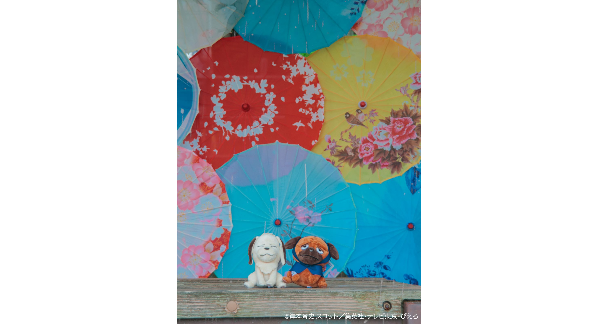 サムネイル画像