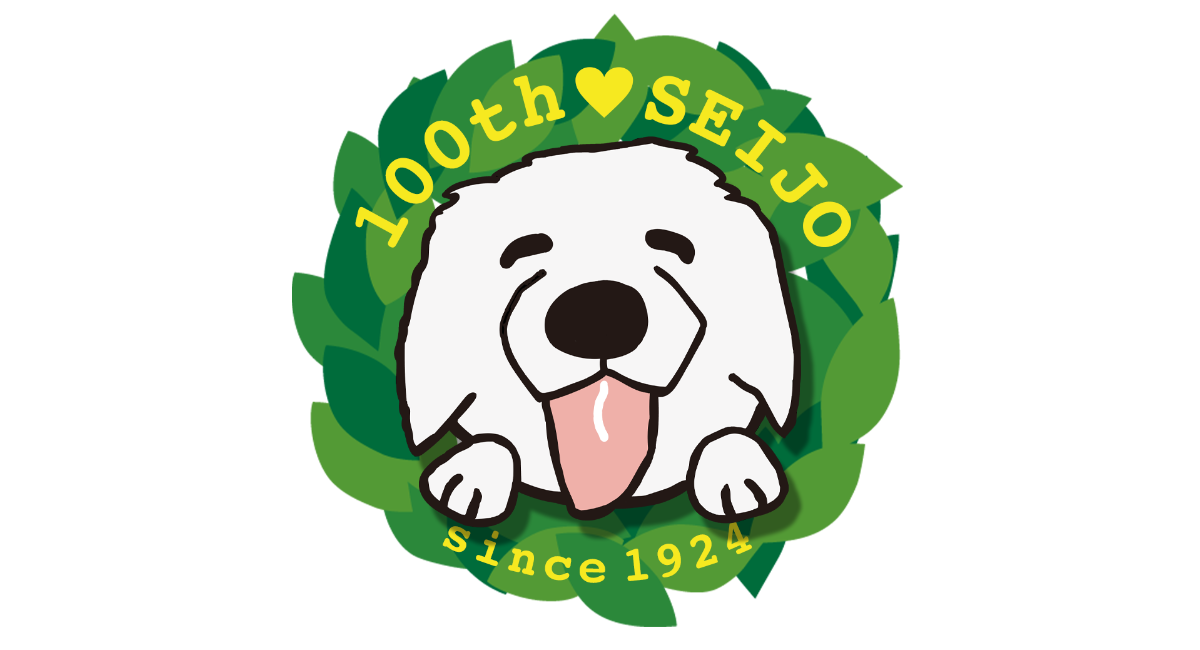 アイキャッチ画像