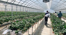 株式会社アクティブラーニングのプレスリリース