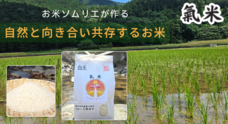 Potatoのプレスリリース