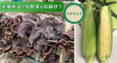 Potatoのプレスリリース