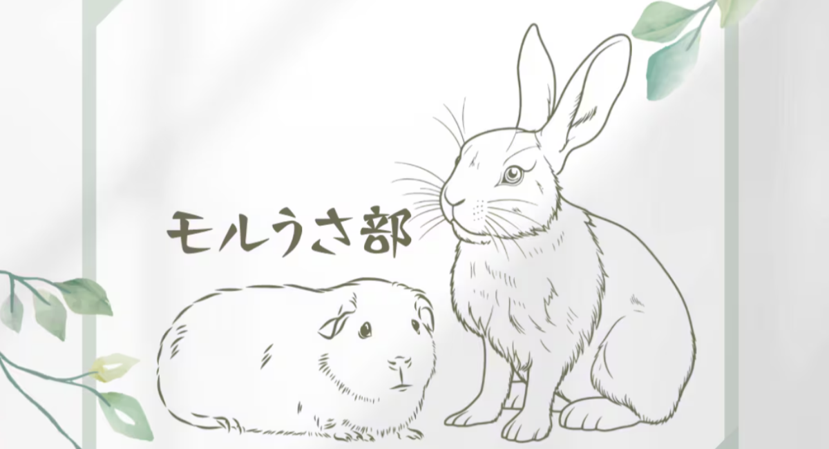 アイキャッチ画像