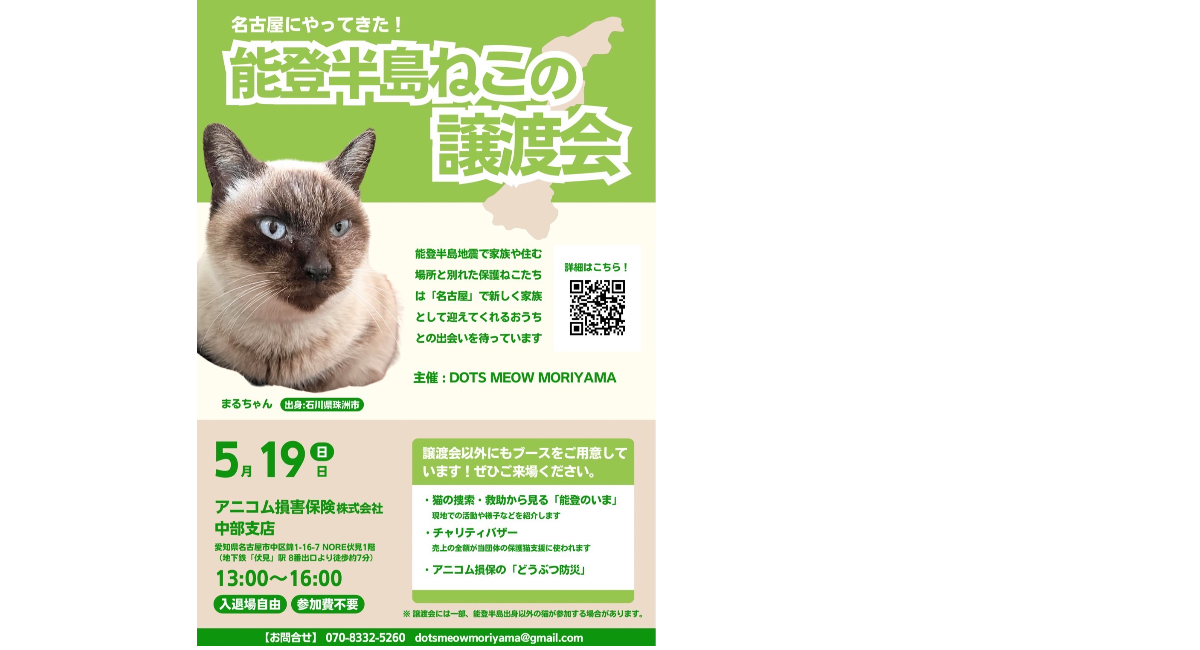 龍脈の精髄 ― 針状クラスター「透明なる守護」保護猫活動支援 保護猫活動の一助となる透明なキャットタワー販路開拓をサポート