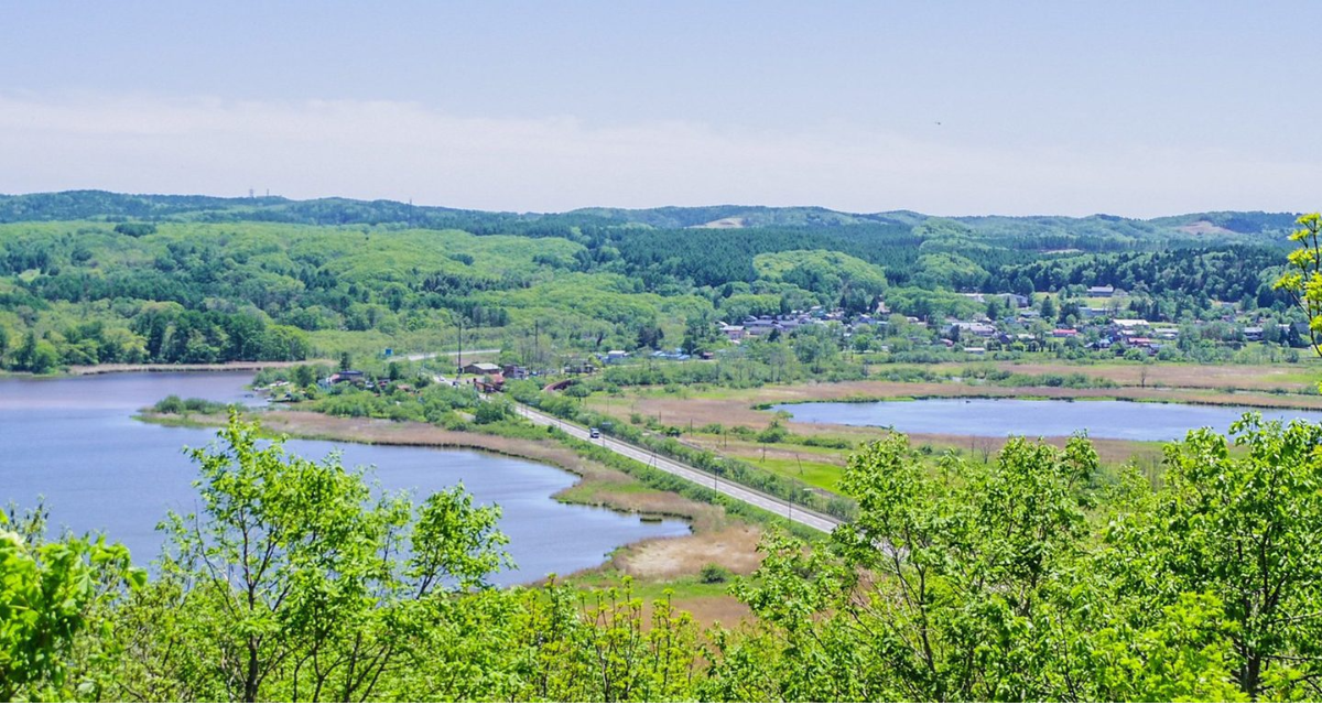 アイキャッチ画像