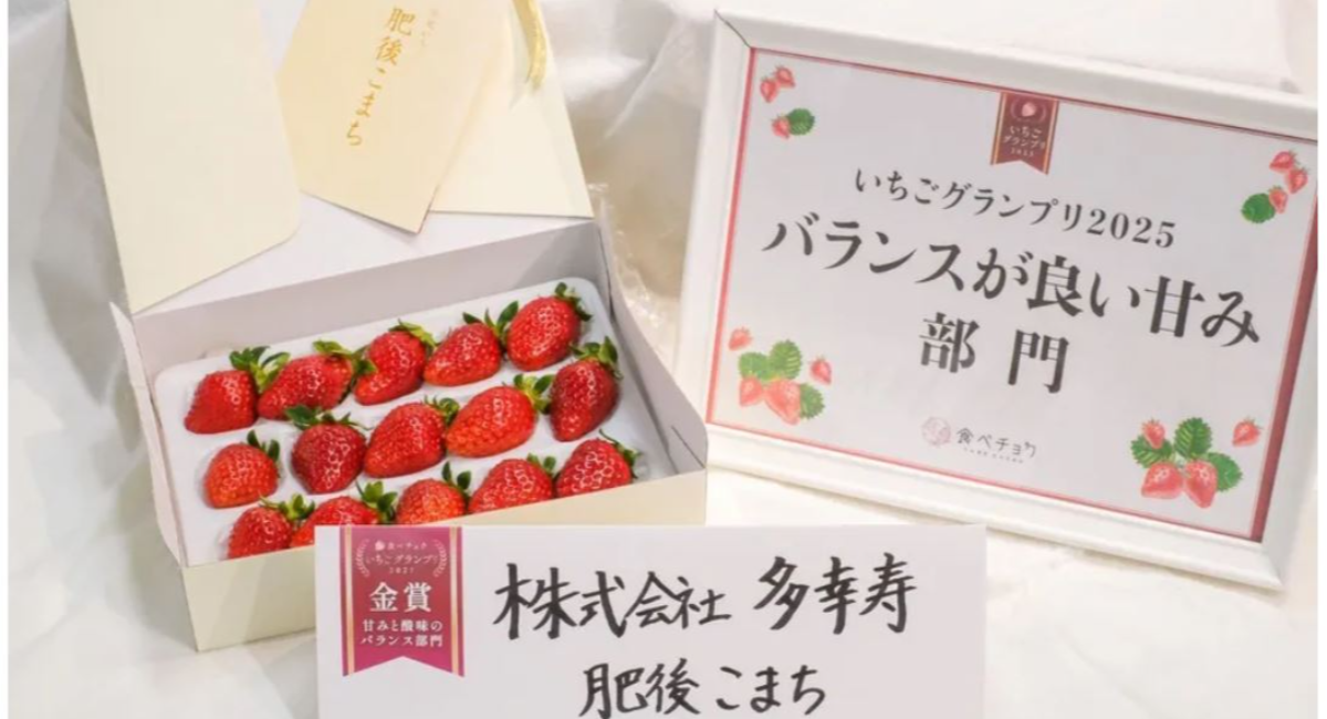 奈良産プレミアム苺【古都華（ことか）】5L 超特大玉 旨さ甘さ