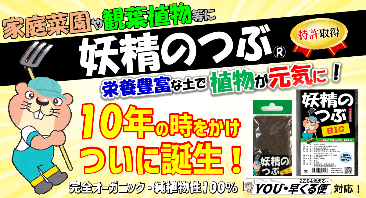 アイキャッチ画像