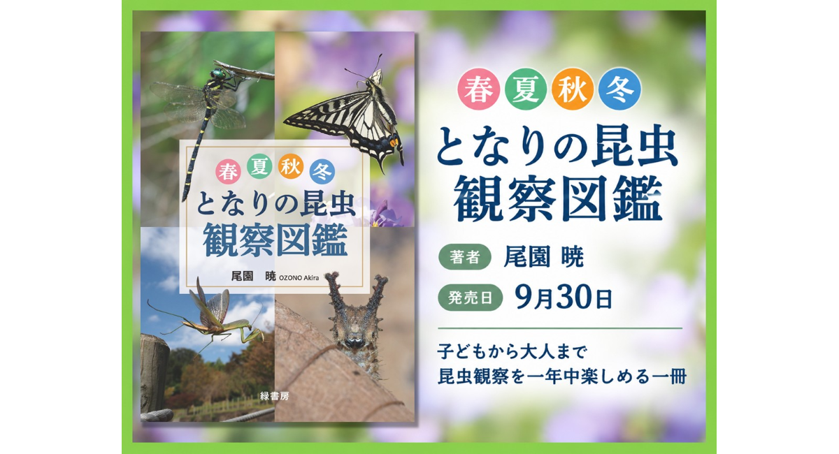 【新刊】子どもから大人まで、昆虫観察を一年中楽しめるビジュアル図鑑　『春夏秋冬 となりの昆虫観察図鑑』を刊行