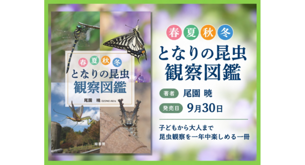 【新刊】子どもから大人まで、昆虫観察を一年中楽しめるビジュアル図鑑 『春夏秋冬 となりの昆虫観察図鑑』を刊行