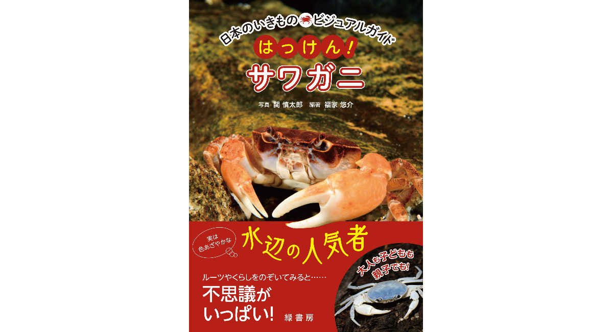 【新刊】身近でありつつ不思議がいっぱい⁉ サワガニの魅力がつまった一冊！　『日本のいきものビジュアルガイド　はっけん！ サワガニ』を刊行