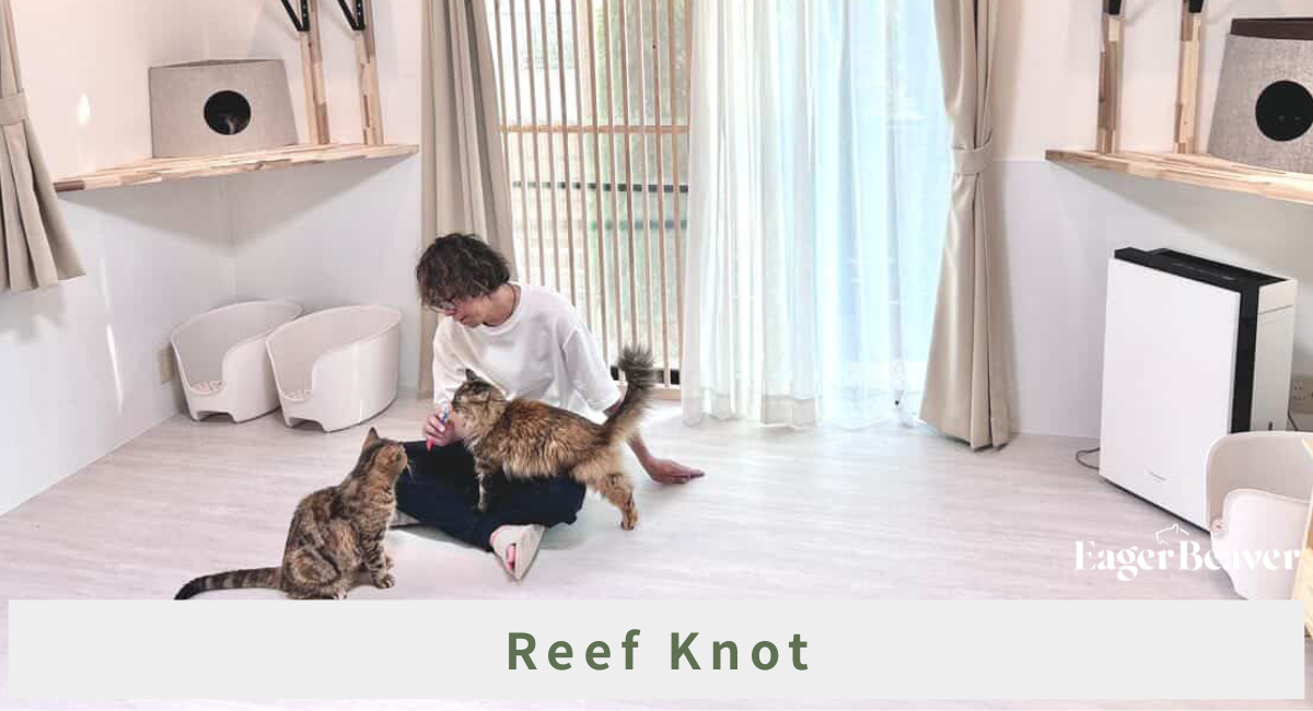 譲渡希望より保護依頼が多い現実——京都・亀岡のReef Knot、2150冊の絵本寄贈と教育活動で“蛇口を閉める”挑戦