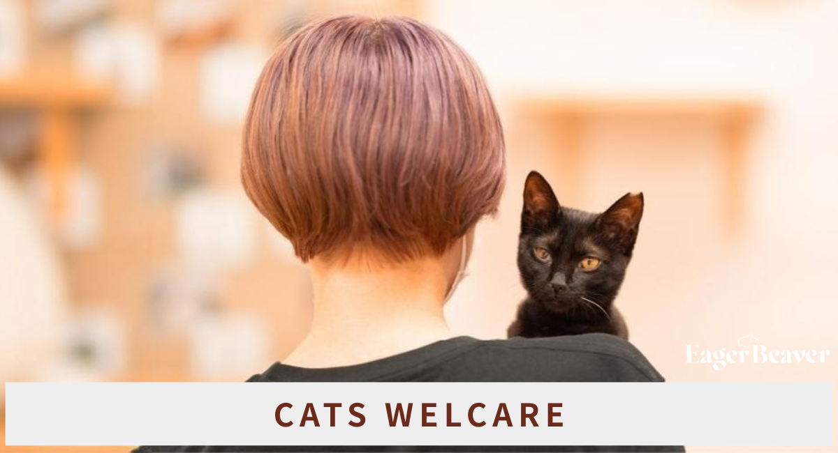 猫を救うために、人にも優しくありたい。大学生発EagerBeaver、CATS WELCAREとチャリティーアパレルコラボを期間限定で実施