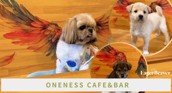 手話と保護犬が繋ぐ新しい支援のカタチ。大阪「ONENESS CAFE&BAR」と大学生発チャリティーアパレルブランドEager Beaverがコラボアパレル発売