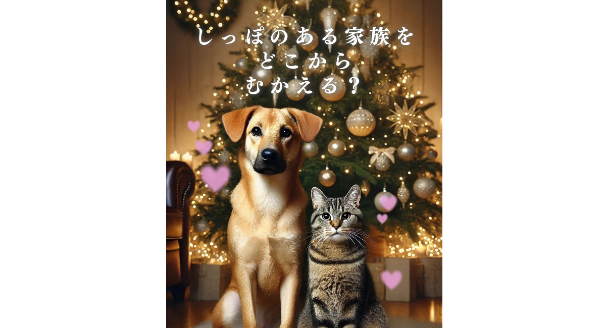 アイキャッチ画像