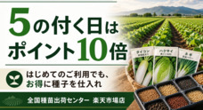 株式会社ハイライトのプレスリリース