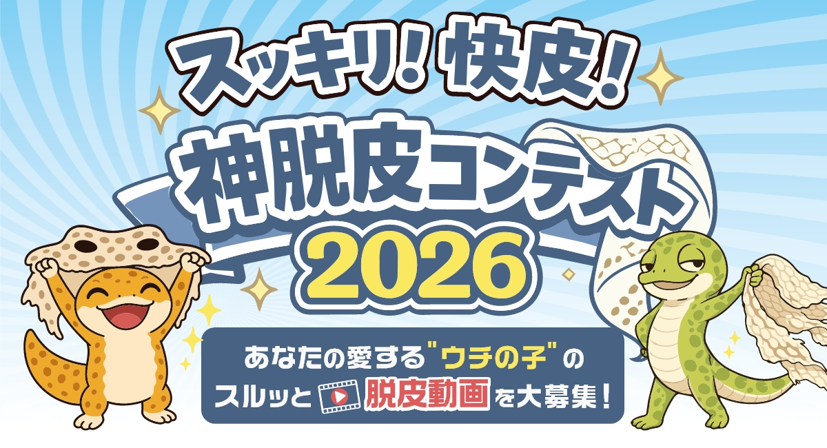 アイキャッチ画像